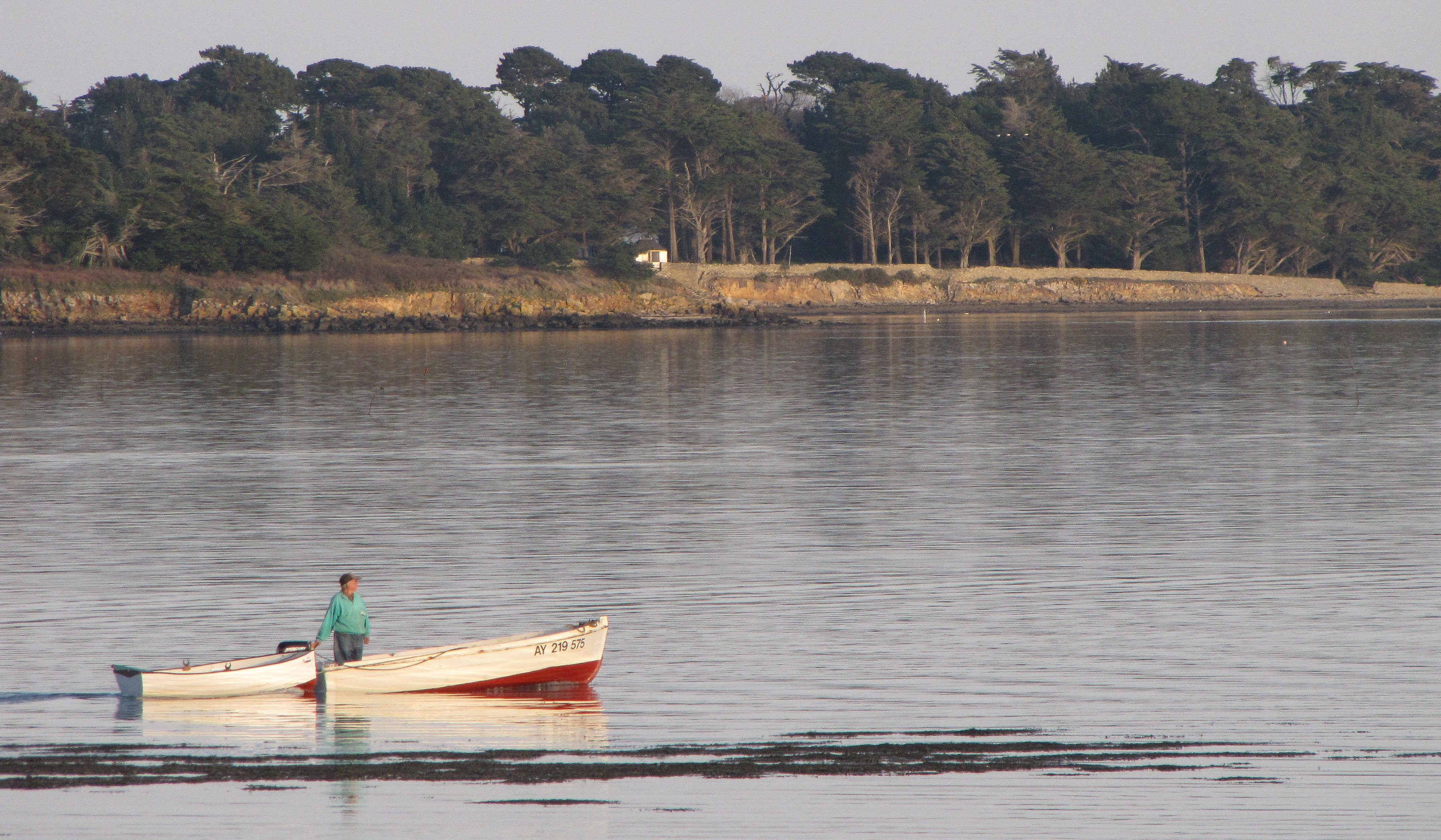 AY 219 575 , 11 mars 11 (1 sur 1).jpg