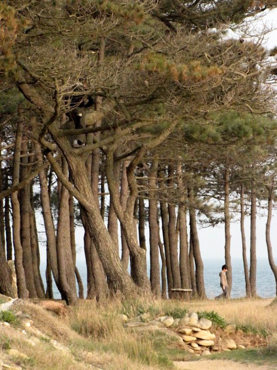 hugo & louis à er hourèl, 15 avril 10 (1 sur 1).jpg