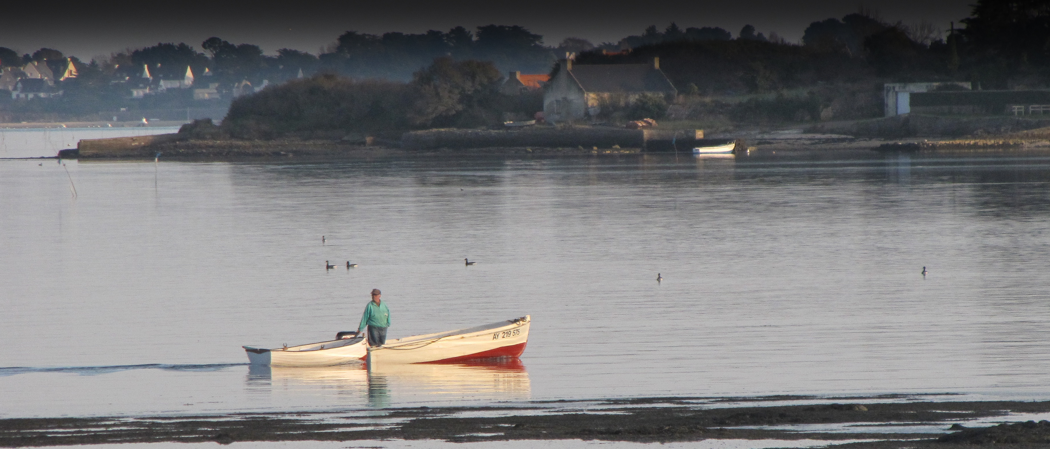 le marin et les oiseaux , 11 mars 11 (1 sur 1).jpg