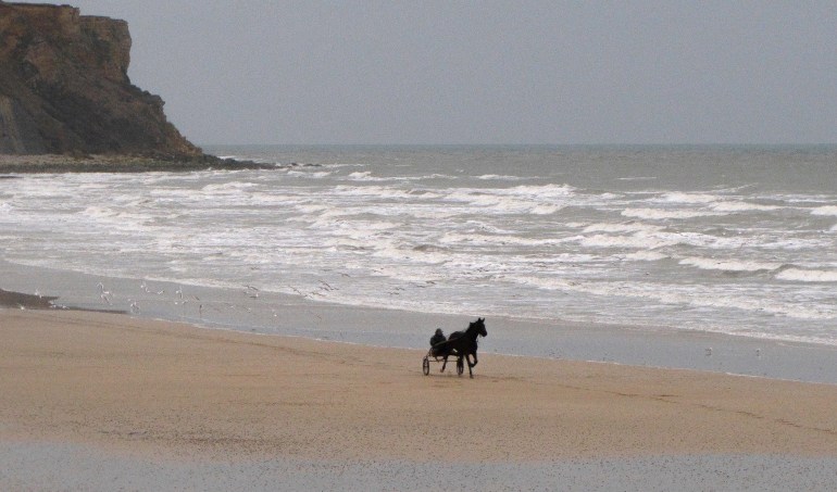 le sulky 4, arromanches, 28 févr 11 (1 sur 1).jpg