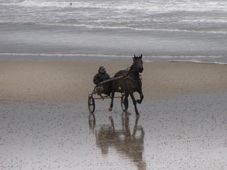 le sulky 5, arromanches, 28 févr 11 (1 sur 1).jpg