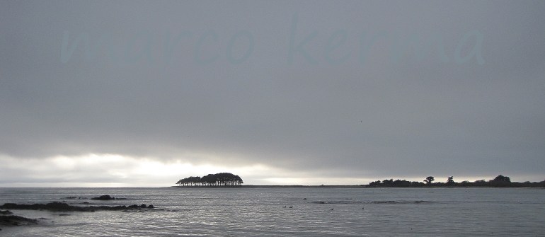 IMG_5144 bis (2).jpg