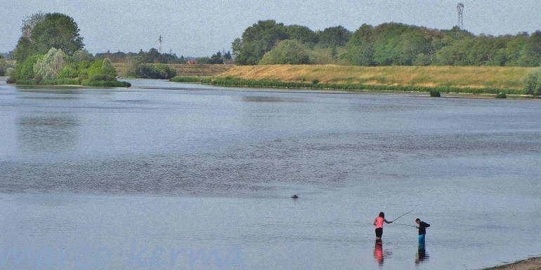 IMG_8930 bis (2).jpg