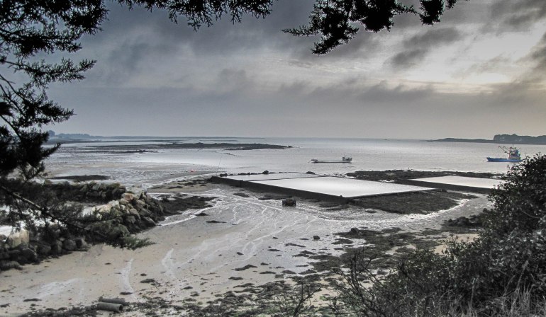 Baie de St Philibert, 30 déc 10 (1 sur 1).jpg