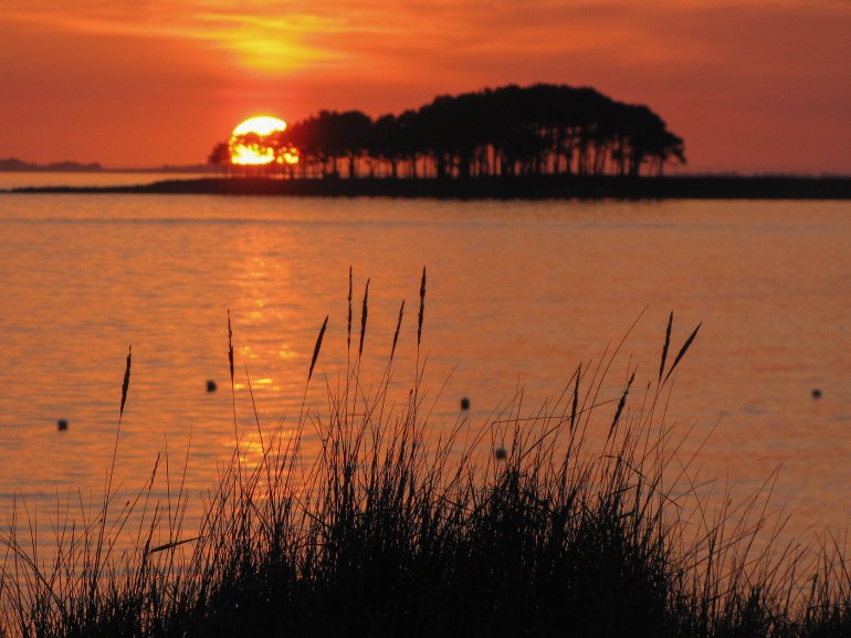 er hourèl 2, 11 mars 11 (1 sur 1).jpg