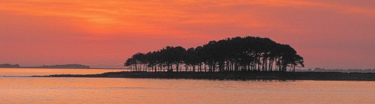 er hourèl 3, 11 mars 11 (1 sur 1).jpg