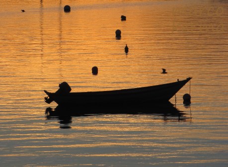 IMG_2529 bis (2).jpg