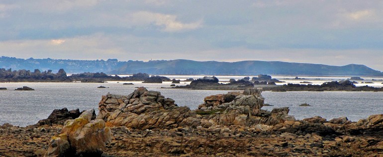 IMG_9110 ter (2).jpg