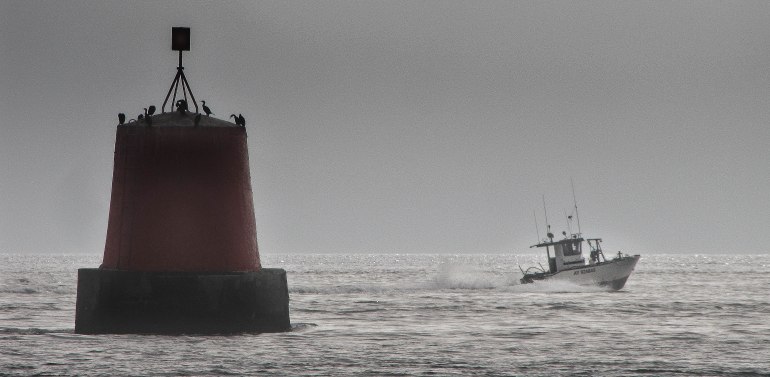 la balise aux cormorans 2 nov 17 (1 sur 1).jpg