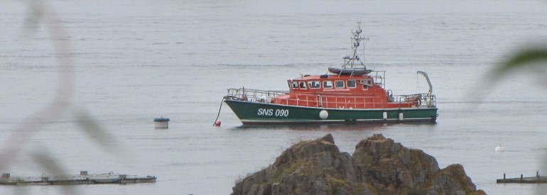 le zant ivy loguivy 2,  17 juin 12 (1 sur 1).jpg