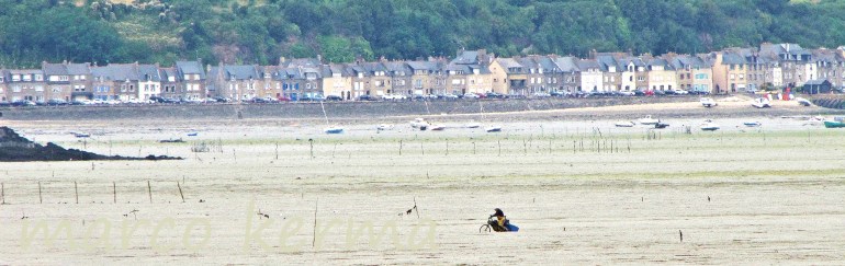 IMG_0759 bis bis-001.jpg