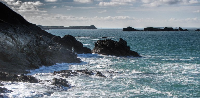 le pêcheur à l'Île Besnard, 1 nov10 (1 sur 1).jpg