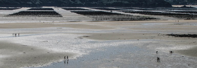 Baie de l'Aiguillon, st jacut, 3 juil 11 (1 sur 1).jpg