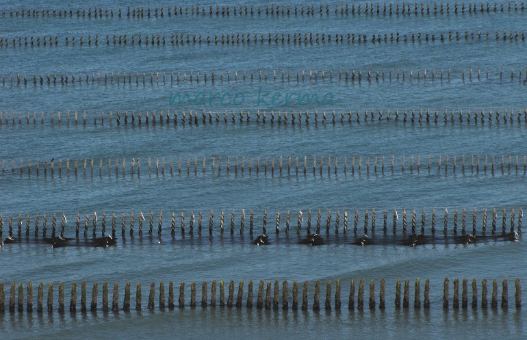 IMG_1283 bis (2).jpg