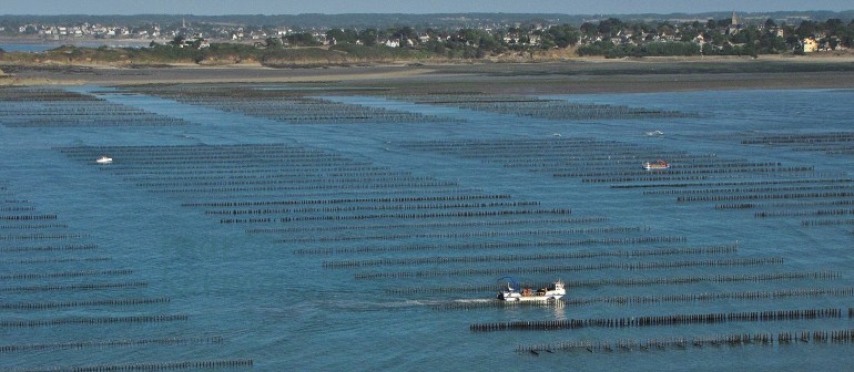 IMG_1297 bis (2).jpg