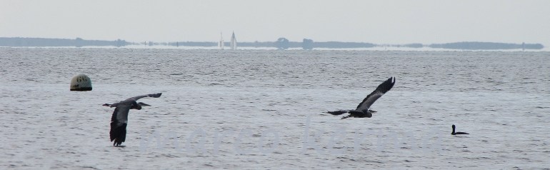 IMG_1542 bis (2).jpg