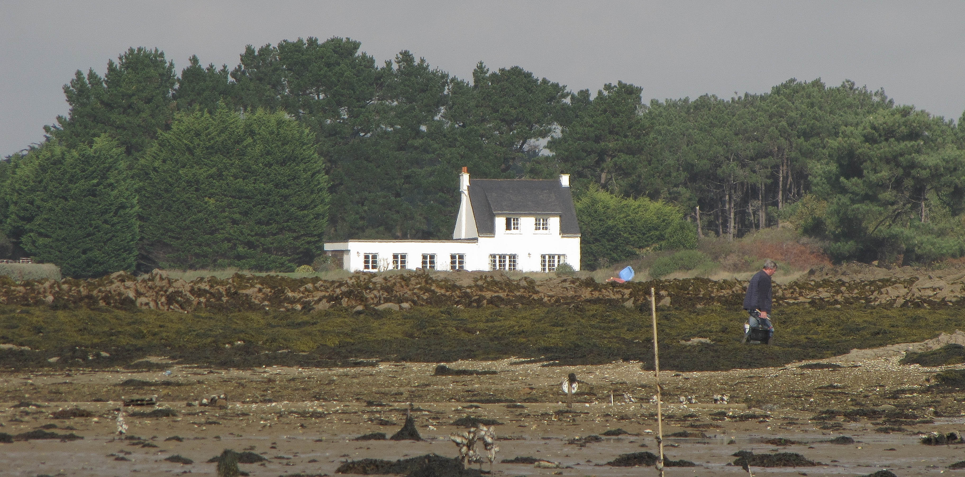 idéale..., 4 nov 17 (1 sur 1).jpg