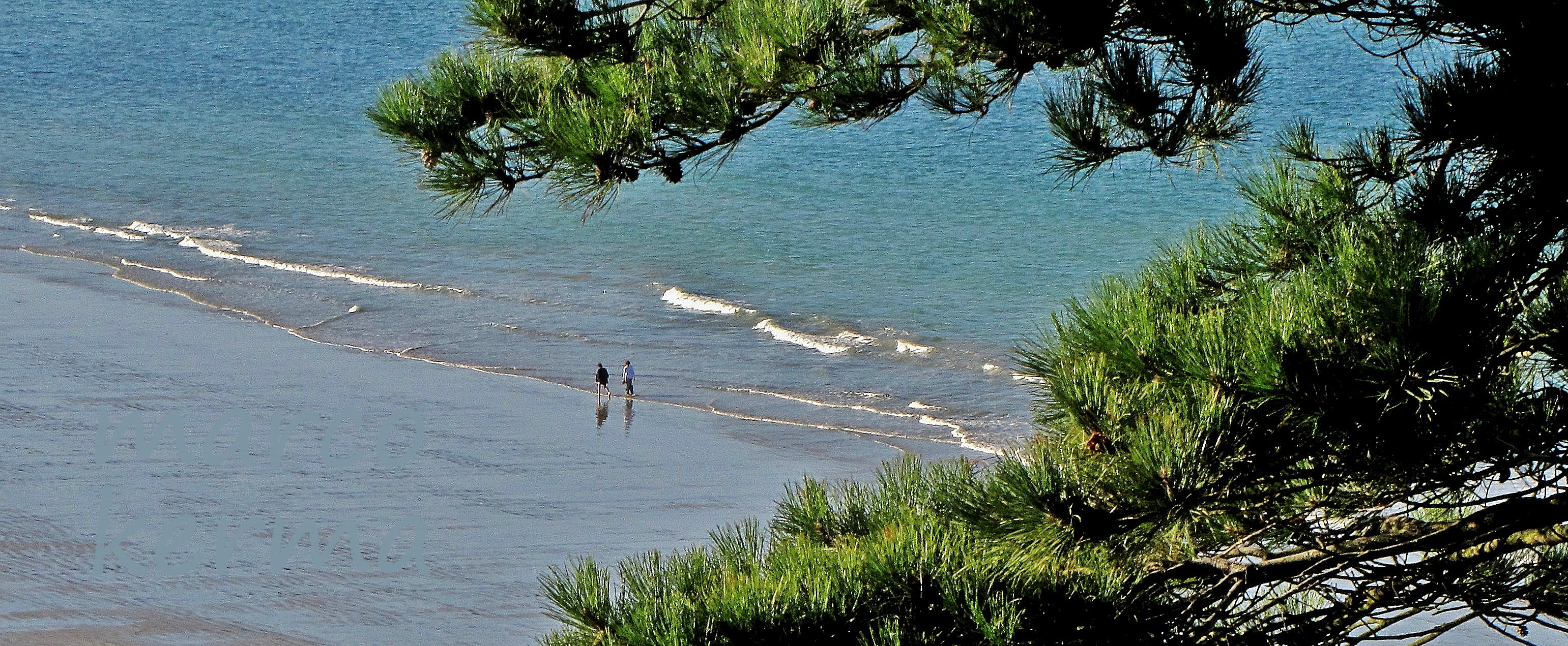 IMG_1303 bis (2).jpg