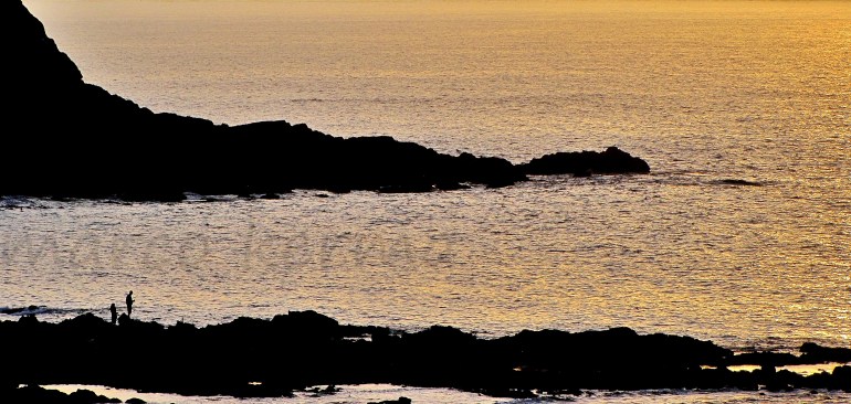 IMG_1346 BIS (2).jpg