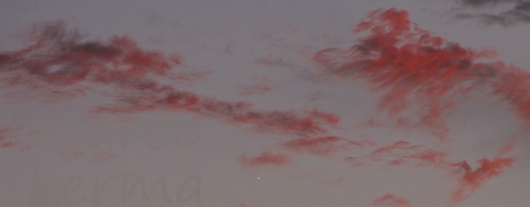 IMG_1398 bis (2).jpg