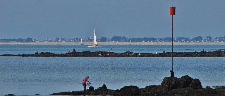 IMG_1562 bis (2).jpg