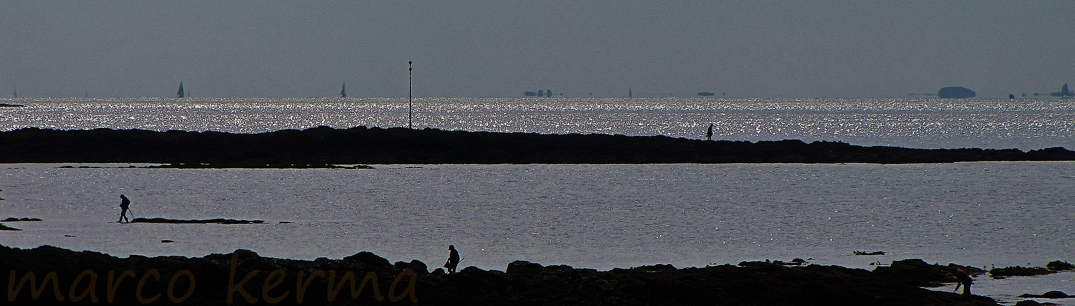 IMG_1566 bis (2).jpg