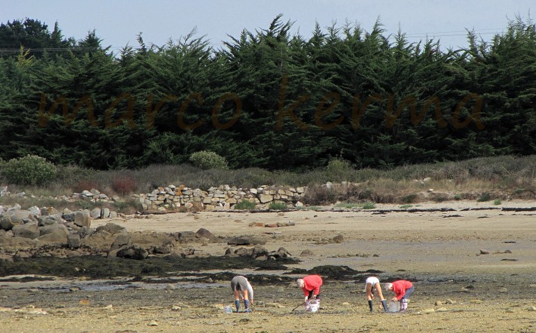 IMG_1568 bis (2).jpg