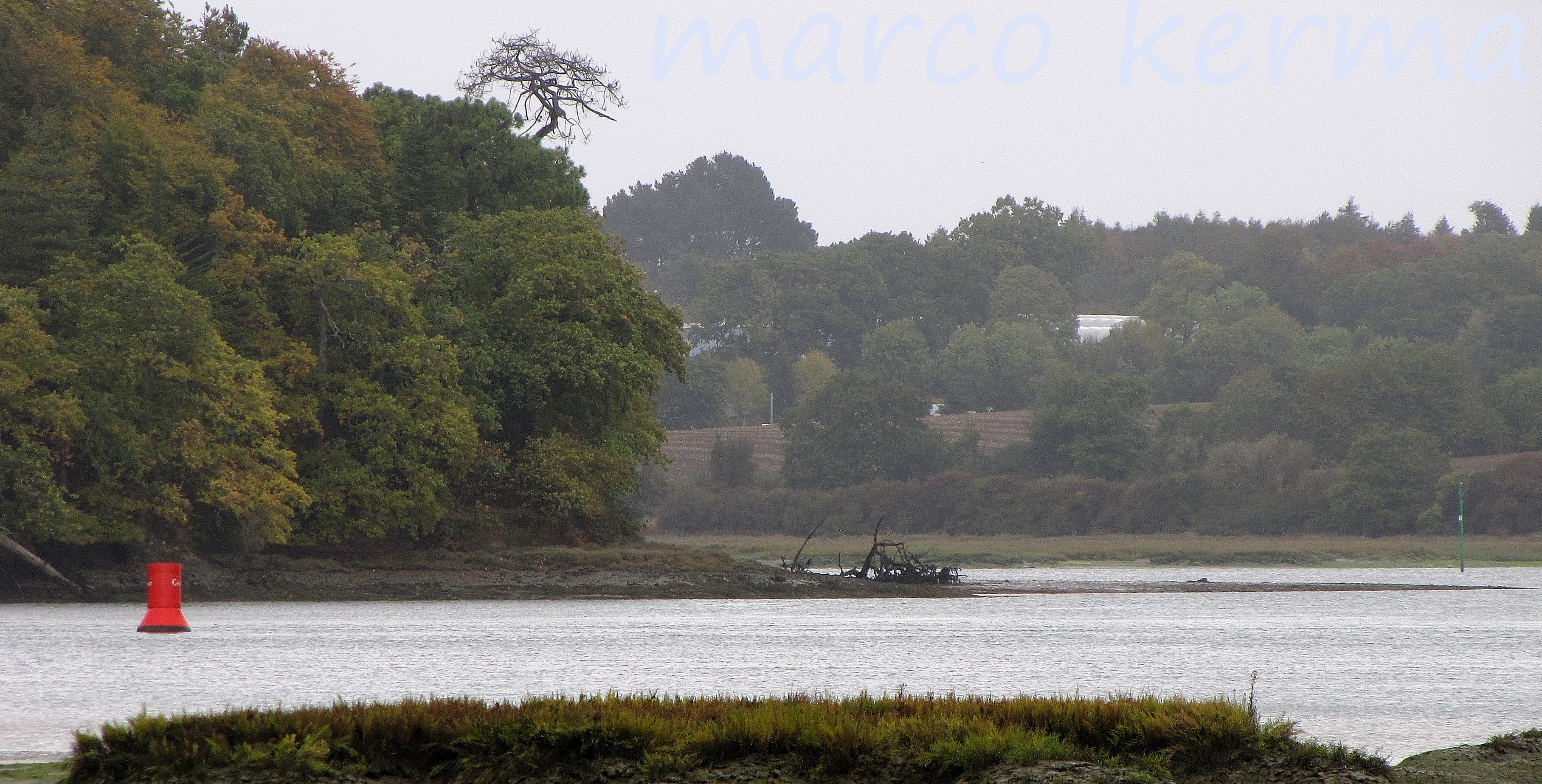 IMG_2060 bis (2).jpg