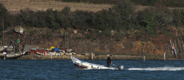 IMG_2166 bis (2).jpg