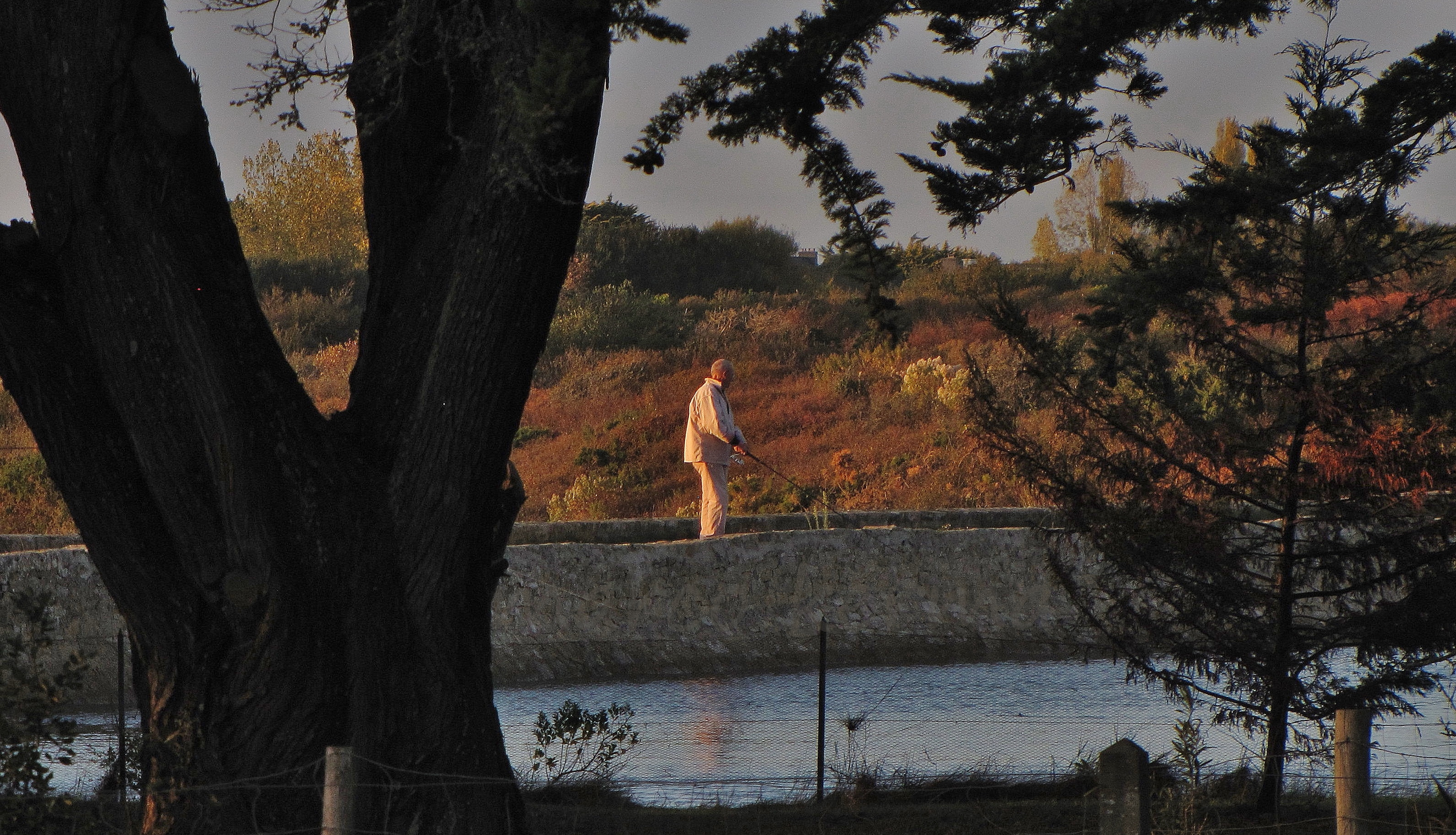 IMG_2357 bis (2).jpg