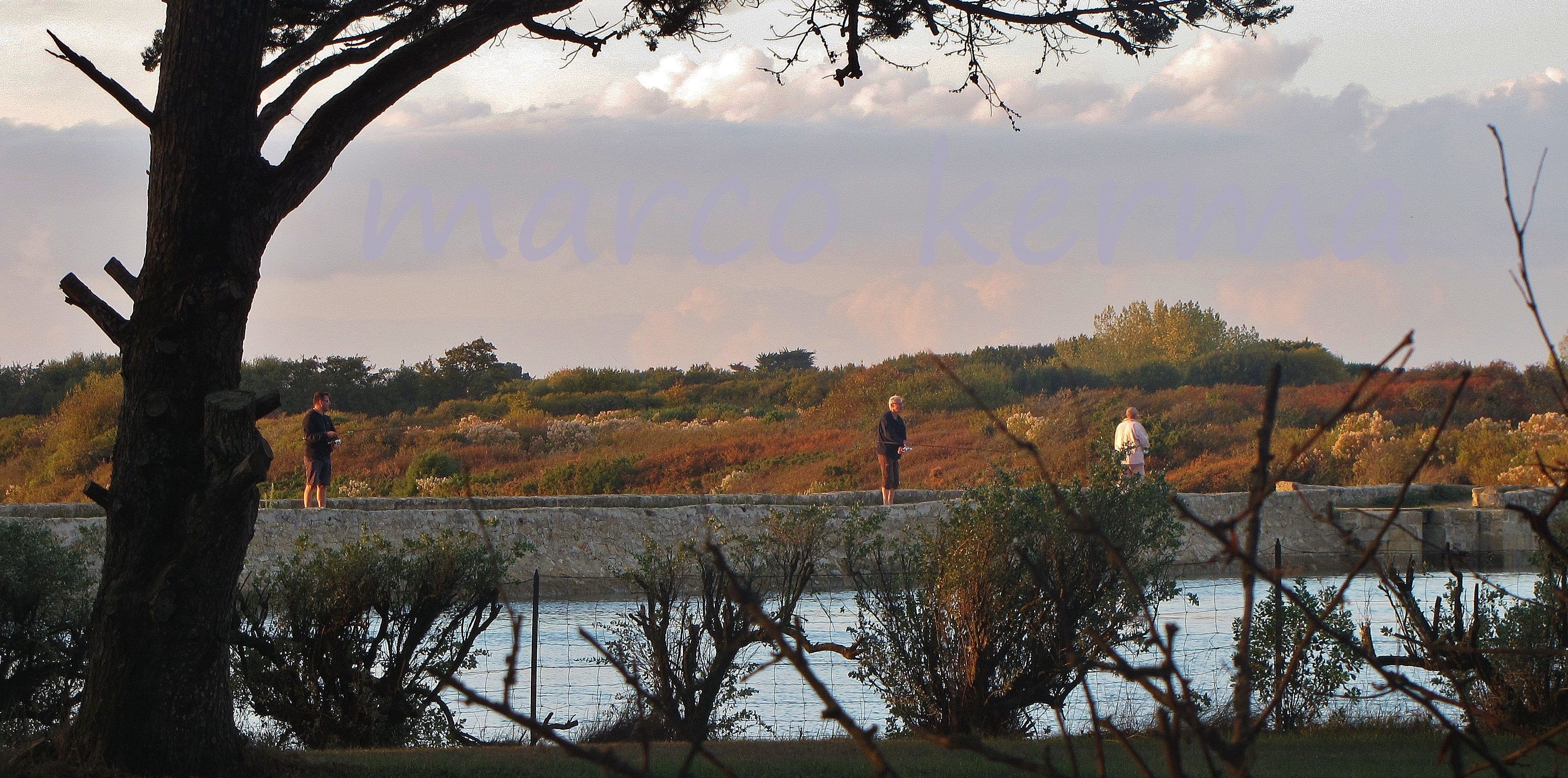 IMG_2368 bis (2).jpg