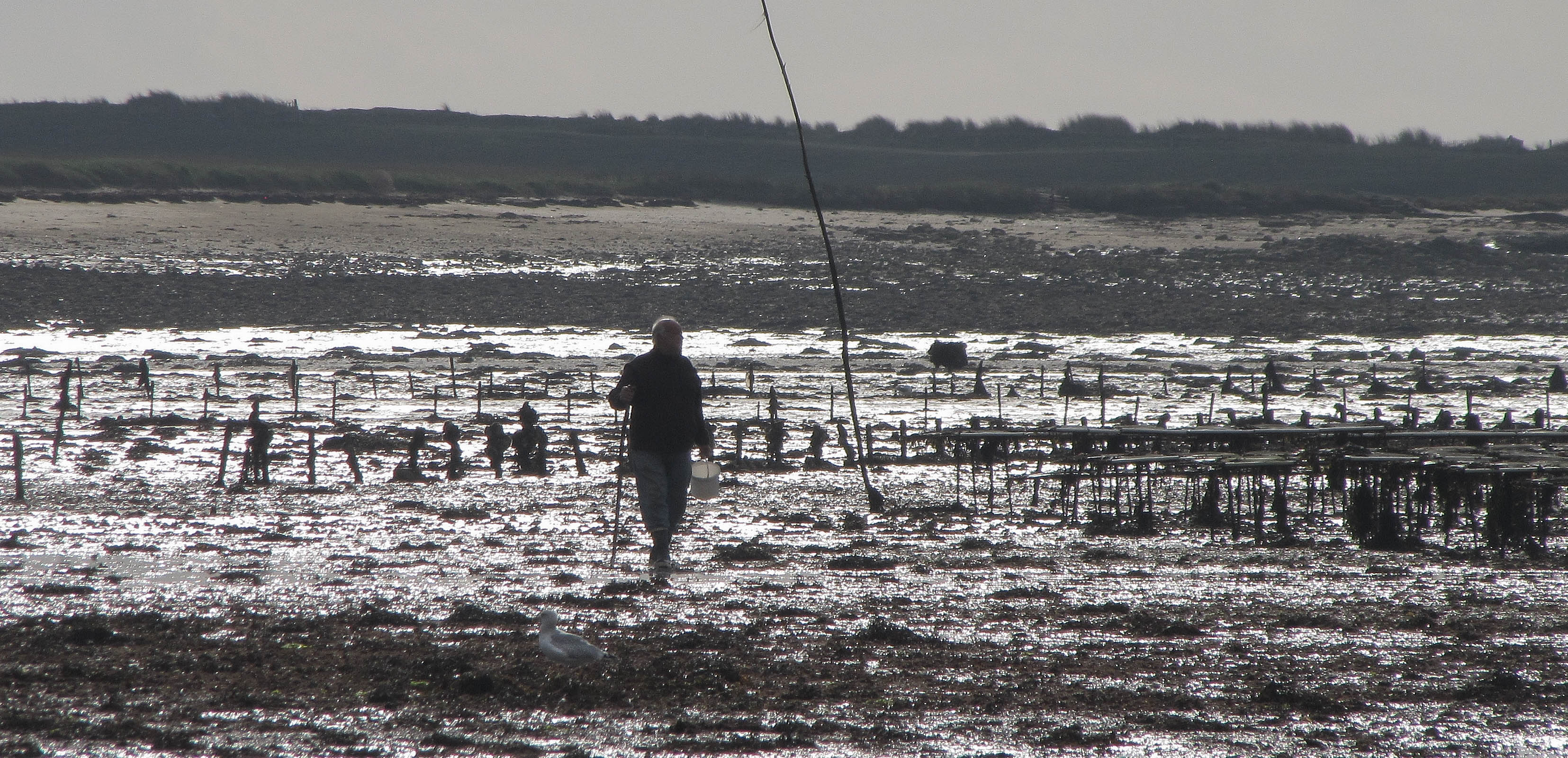 le gardien des parcs,  4 nov 17 (1 sur 1).jpg