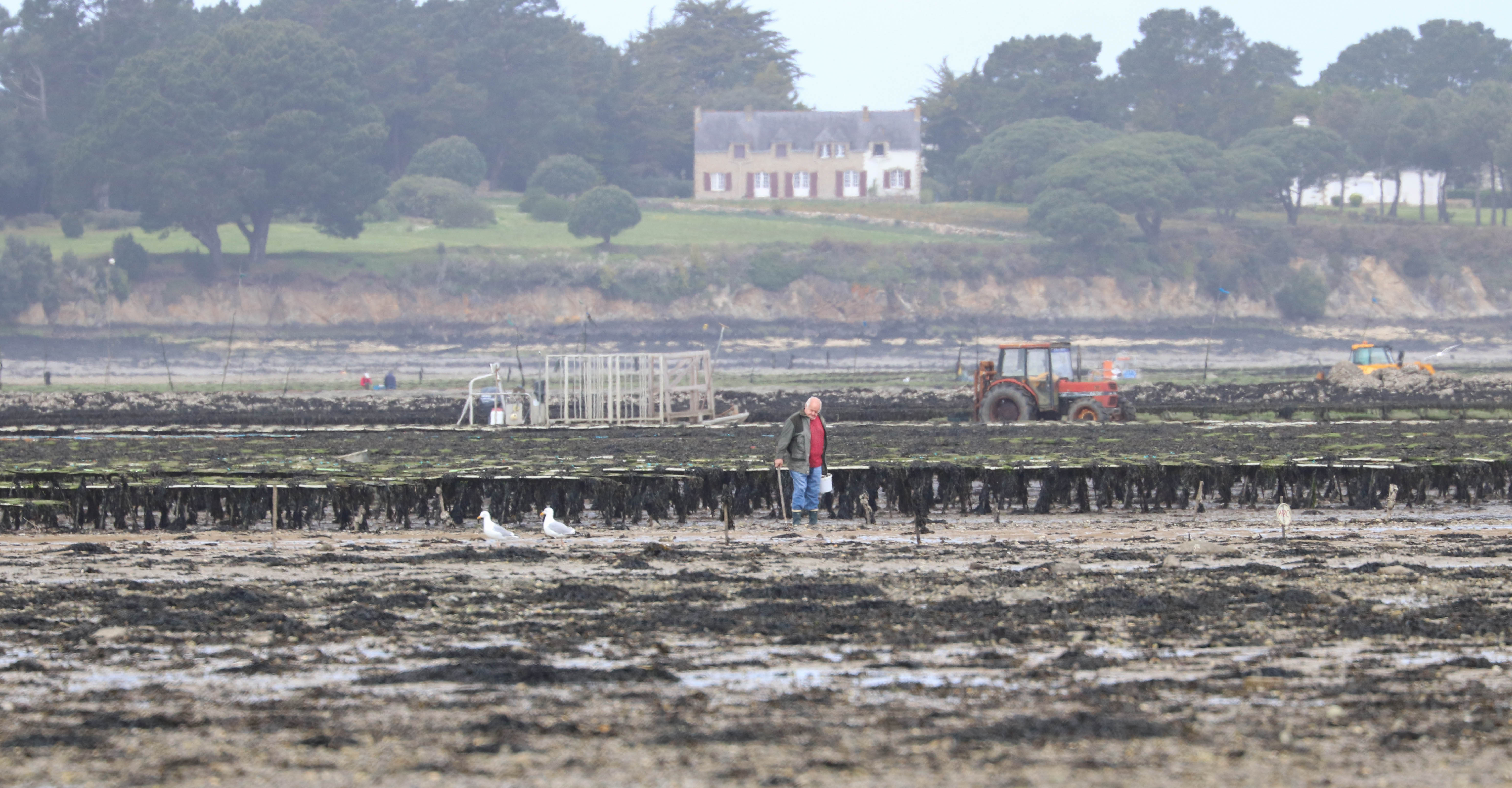Lulu le gardien de parcs, 16 avril 18 (1 sur 1)