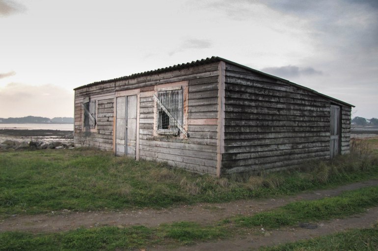 feu la cabane en bois kerigan 30 dec 10 17h05.jpg