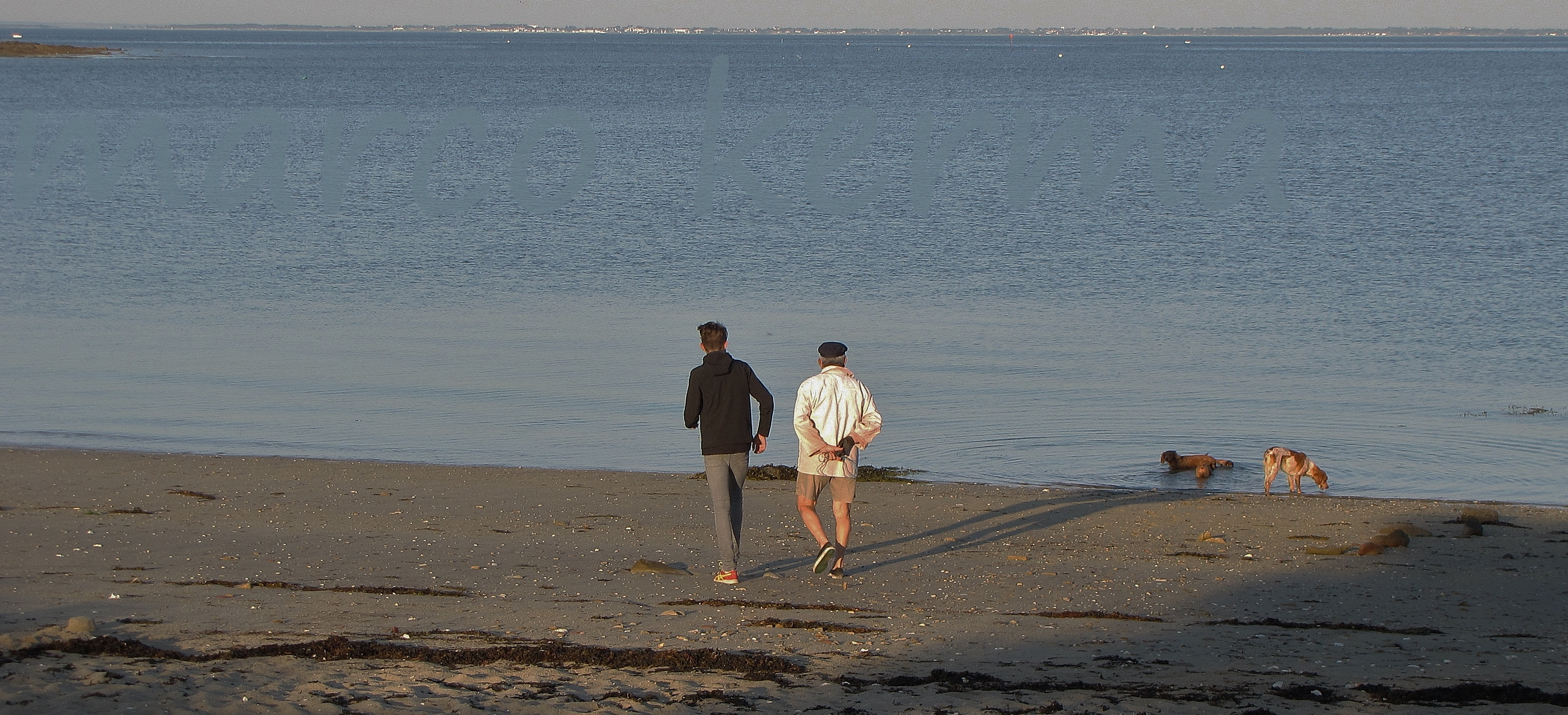 IMG_0595 bis (2).jpg