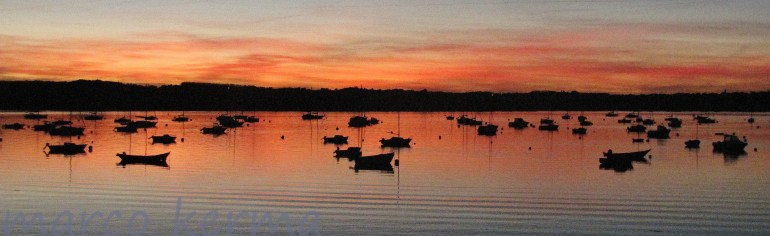 IMG_2545 ter (2).jpg