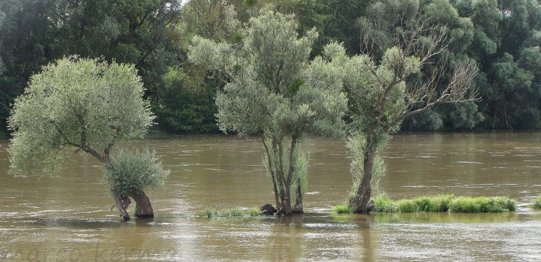 IMG_8368 bis (2).jpg