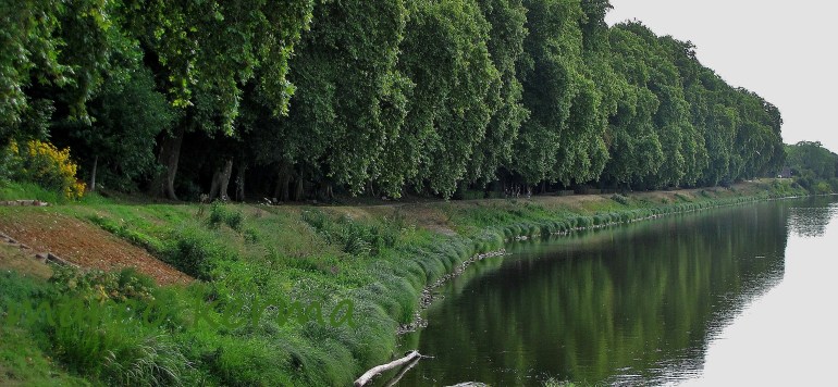 IMG_8933 bis (2).jpg