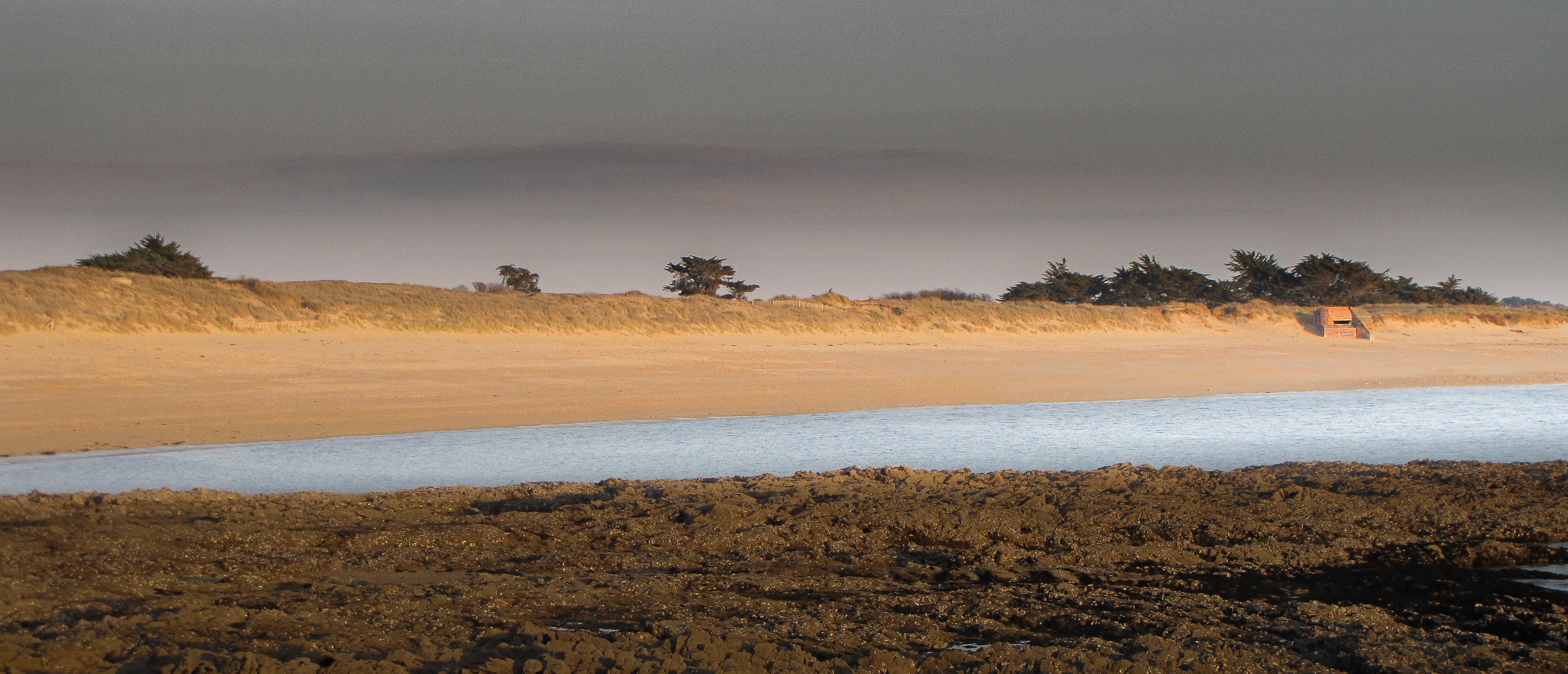 la grande plade de st pierre, 16 févr.16 (1 sur 1).jpg