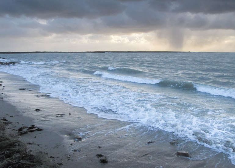 le grain, point  er long,  9 févr.16 (1 sur 1).jpg