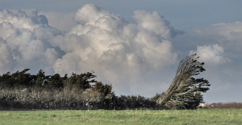 le pays du vent, baie d'audierne, 23 mars13 (1 sur 1).jpg