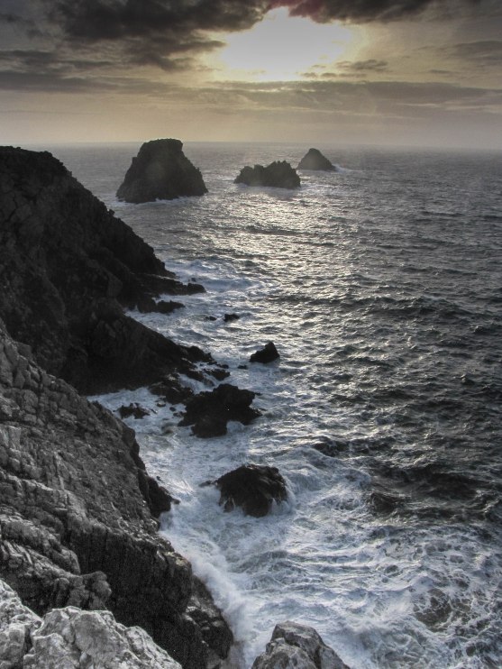 les tas de pois,30 déc12 (1 sur 1).jpg