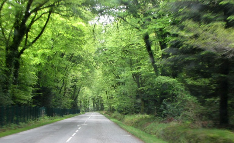 vers trévarez, 19 mai 12 (1 sur 1).jpg