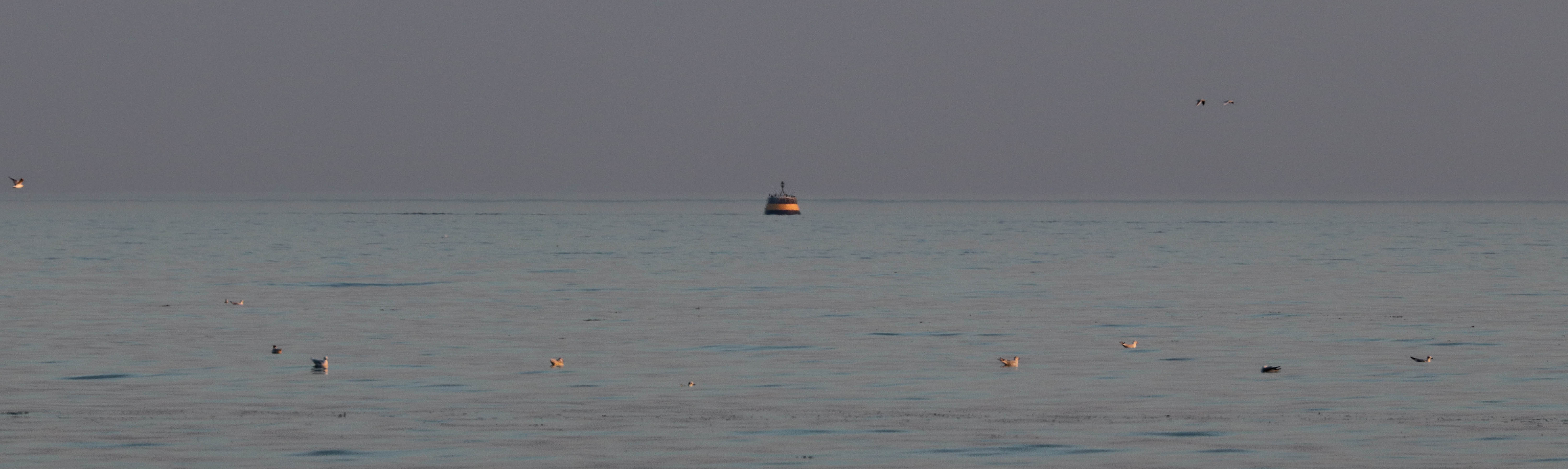 bagen hir, 9 oct 8, 18h14 (1 sur 1).jpg