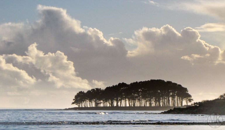 er hourèl 28 janv 17 17h08.jpg