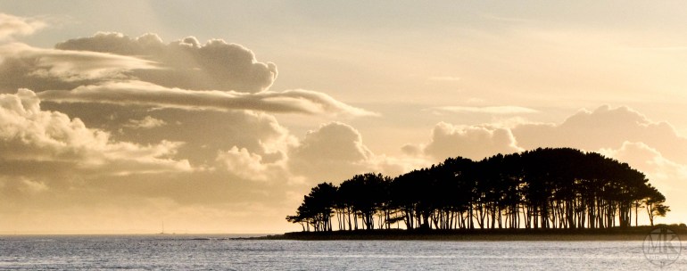 er hourèl 28 janv 17 17h42.jpg