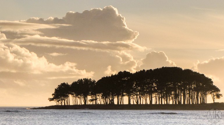 er hourèl 28 janv 17 17h44.jpg