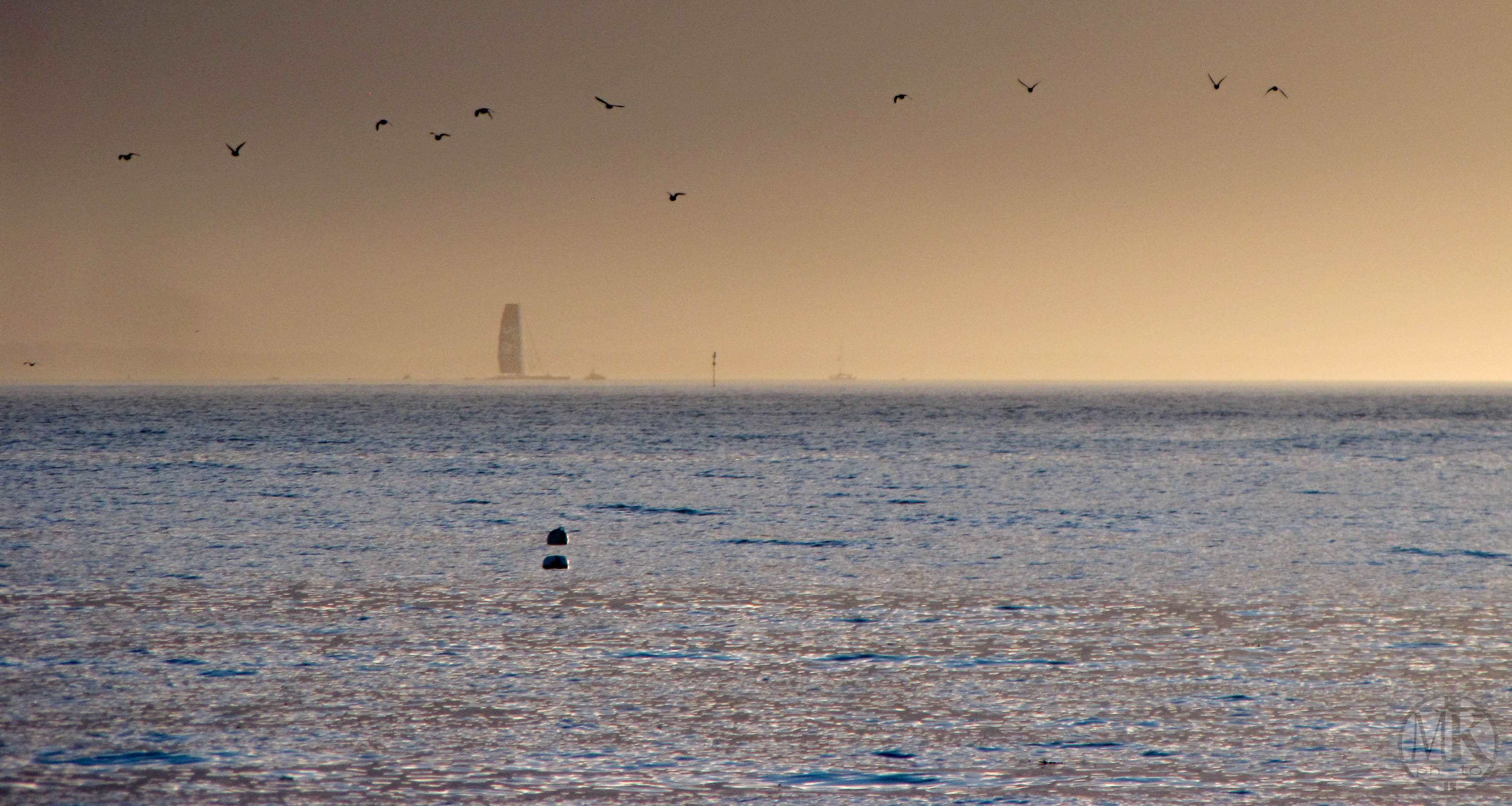 idec rentre 27 janv 17 17h32.jpg