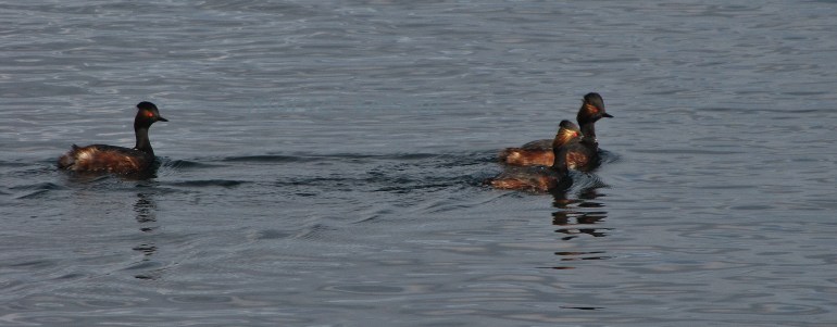IMG_3110.JPG
