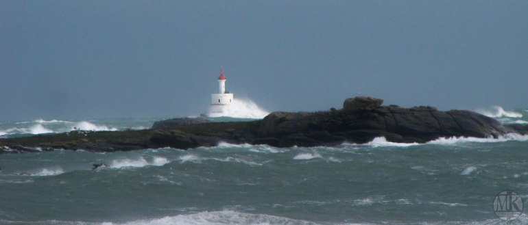 la teignouse 27 fevr 17h35.jpg